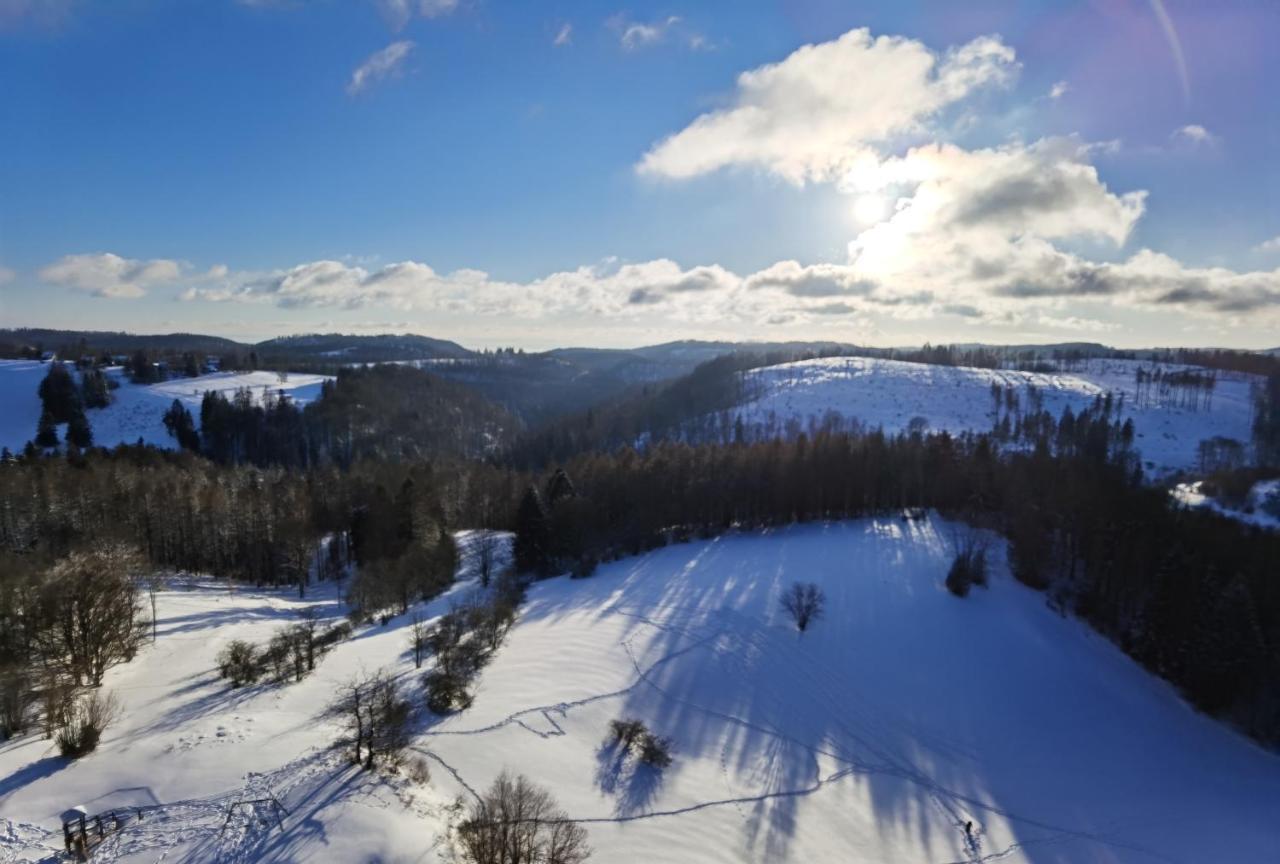 Apartmán Penthouse Harz-Traum 372 Hohegeiß Exteriér fotografie