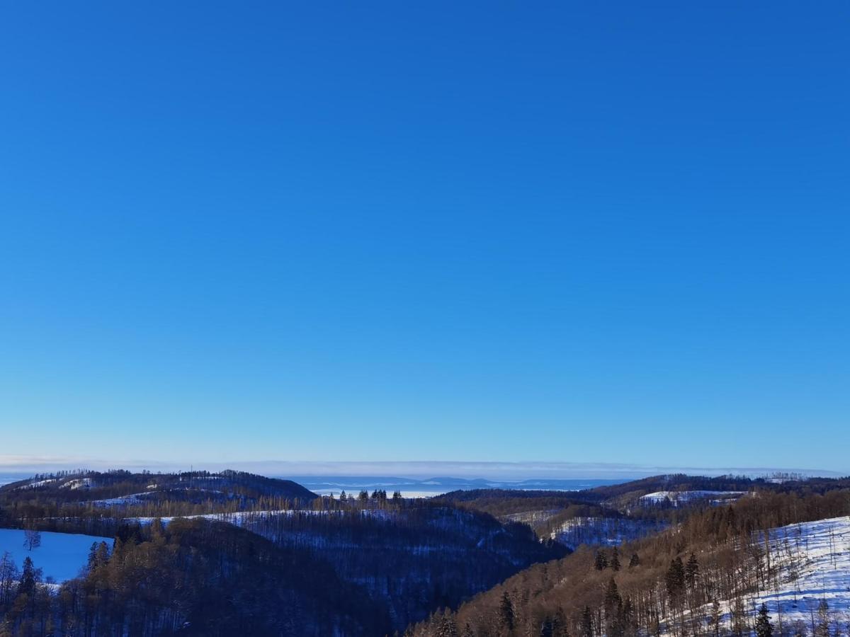 Apartmán Penthouse Harz-Traum 372 Hohegeiß Exteriér fotografie